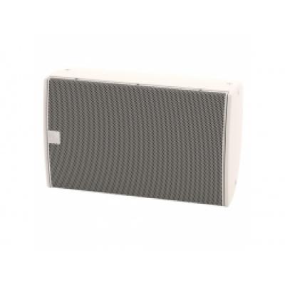 MARTIN AUDIO CDD15W-WR